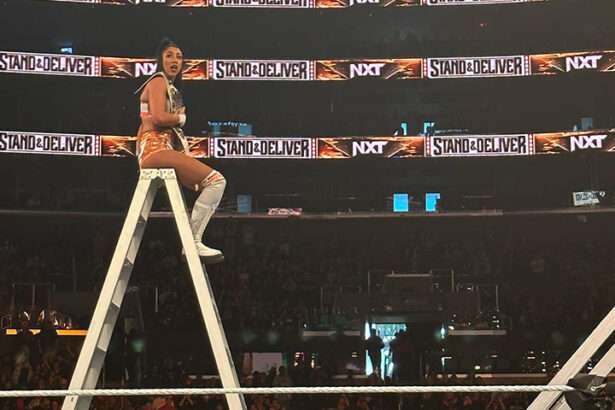 Indi Hartwell gana lucha de escaleras y es NUEVA Campeona de NXT