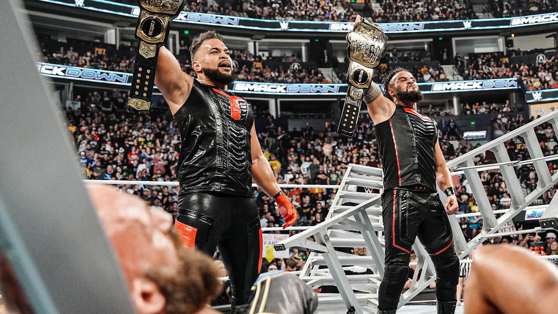 The Bloodline gana un caótico Ladder Match ante The Street Profits y DIY para seguir reinando