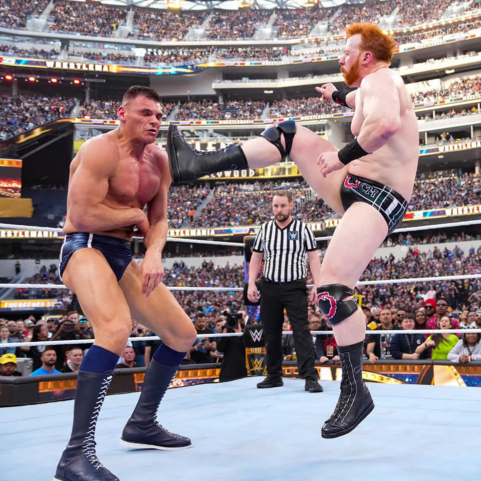 Shawn Michales y las 15 MEJORES patadas en la historia de la WWE